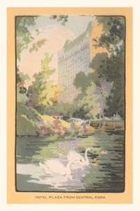 Vintage Journal Hotel Plaza from Central Park