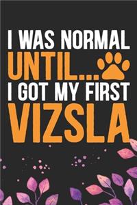 I Was Normal Until I Got My First Vizsla