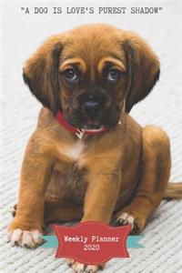 A Dog Is Love's Purest Shadow Weekly Planner 2020