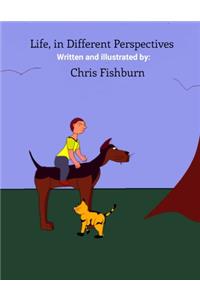 Life From Different Perspectives