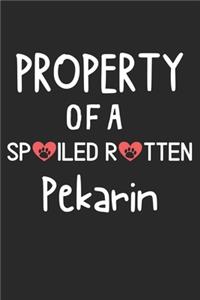 Property Of A Spoiled Rotten Pekarin