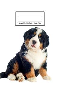 Composition Notebook - Graph Paper