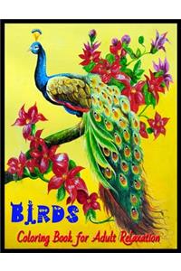 BIRDS Coloring Book for Adult Relaxation