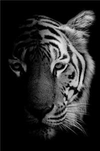 Tiger Notebook