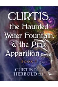 Curtis, the Haunted Water Fountain, & the Pink Apparition (Revised): Book 1