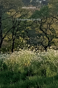 Echappées d'un elfe