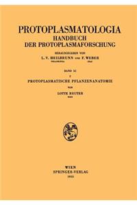 Protoplasmatische Pflanzenanatomie