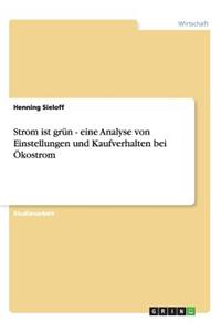 Strom ist grün - eine Analyse von Einstellungen und Kaufverhalten bei Ökostrom