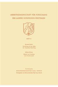 Entwicklung auf dem Gebiet der Chemiefaser-Herstellung