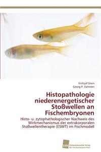 Histopathologie niederenergetischer Stoßwellen an Fischembryonen