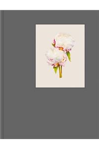 The Most Beautiful Flowers