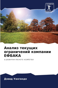 Анализ текущих ограничений компании ЕФБ