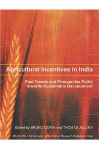 Agricultural Incentives in India