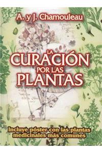 Curacion Por Las Plantas Medicinales, La