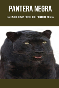 Pantera negra