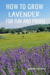 How to Grow Lavender for Fun and Profit