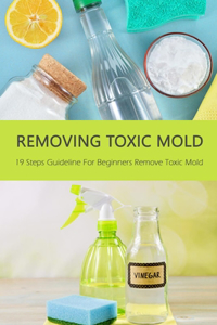 Removing Toxic Mold