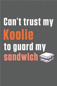 Can't trust my Koolie to guard my sandwich