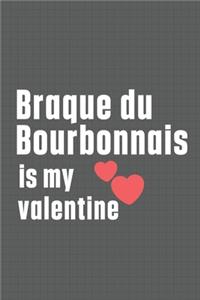 Braque du Bourbonnais is my valentine