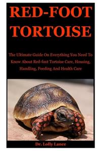 Red-foot Tortoise