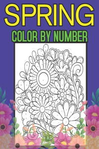 Spring Color By Number
