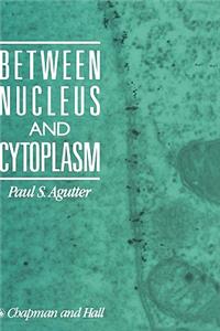 Between Nucleus and Cytoplasm