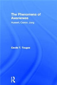 The Phenomena of Awareness