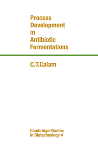 Process Development in Antibiotic Fermentations