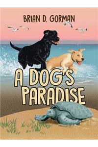 A Dog's Paradise