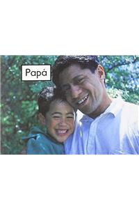 Papá (Dad)