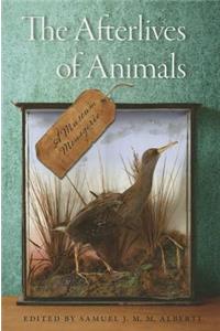 Afterlives of Animals