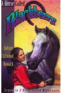 Horse Called Blackberry