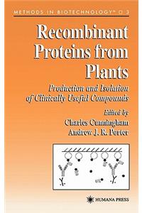 Recombinant Proteins from Plants