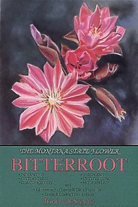 Bitterroot