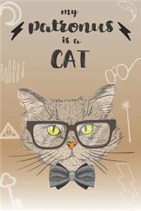My Patronus is a Cat
