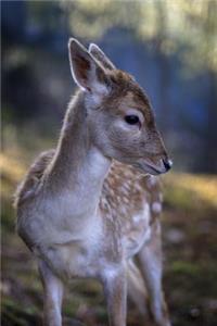 Cute Baby Deer Journal