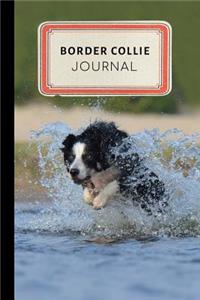 Border Collie Journal