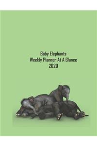 Baby Elephants Weekly Planner at a Glance 2019-2020