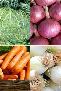 Rezeptbuch