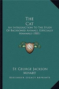 Cat the Cat