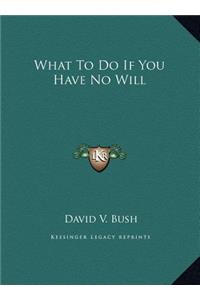 What To Do If You Have No Will