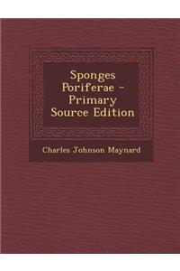 Sponges Poriferae