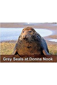 Grey Seals at Donna Nook 2017