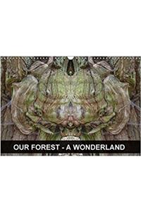 Our Forest - A Wonderland 2018