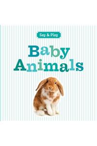 Baby Animals