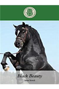 Black Beauty