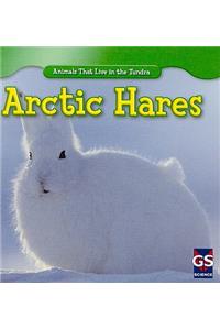 Arctic Hares
