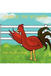 Charlie the Rooster