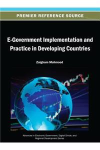 E-Government Implementation and Practice in Developing Countries