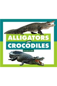 Alligators and Crocodiles